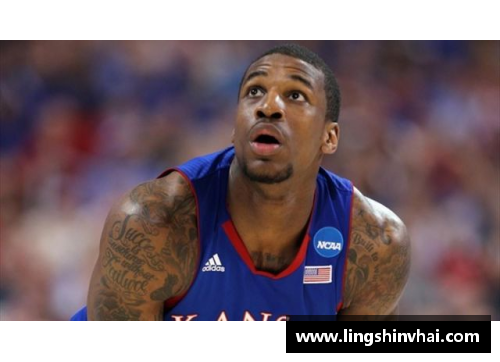 美高梅MGM官网NBA白人球星：背后的故事与他们的职业生涯 - 副本